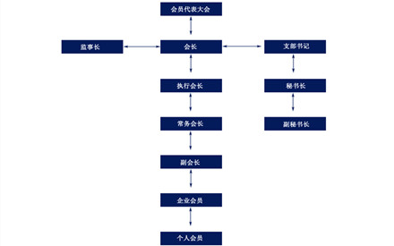 协会各部门职责